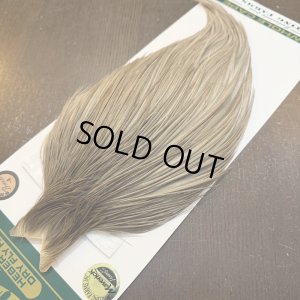 画像3: 【WHITING】Hebert ROOSTER CAPE Bronze Grade - Medium grey dun No.1