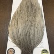 画像5: 【WHITING】Hebert ROOSTER CAPE Bronze Grade - LIGHT GREY DUN No.1 (5)