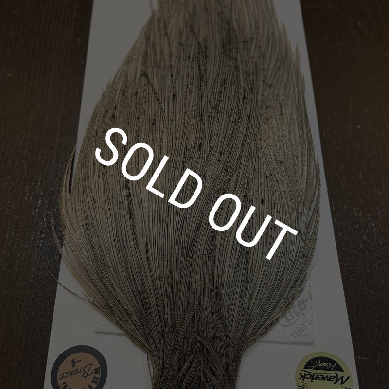 画像5: 【WHITING】Hebert ROOSTER CAPE Bronze Grade - LIGHT GREY DUN No.1 (5)