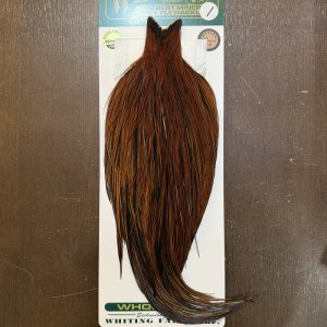 画像1: 【WHITING】Hebert ROOSTER CAPE Bronze grade - Furnace No.1