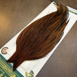 画像3: 【WHITING】Hebert ROOSTER CAPE Bronze grade - Furnace No.1