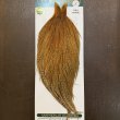 画像1: 【WHITING】Hebert ROOSTER CAPE Pro Grade - BARRED DARK Ginger No.1 (1)
