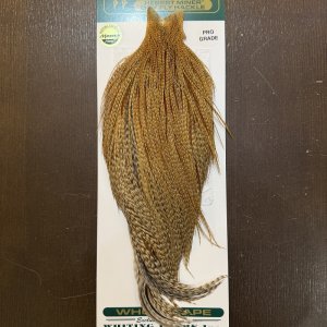 画像1: 【WHITING】Hebert ROOSTER CAPE Pro Grade - BARRED Medium Ginger No.1