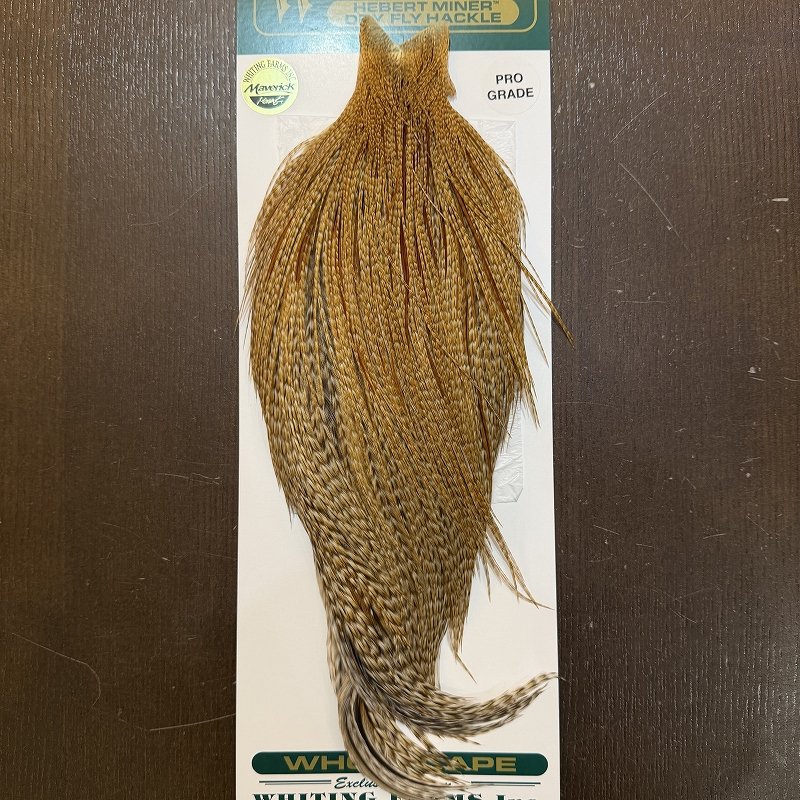 画像1: 【WHITING】Hebert ROOSTER CAPE Pro Grade - BARRED Medium Ginger No.1 (1)