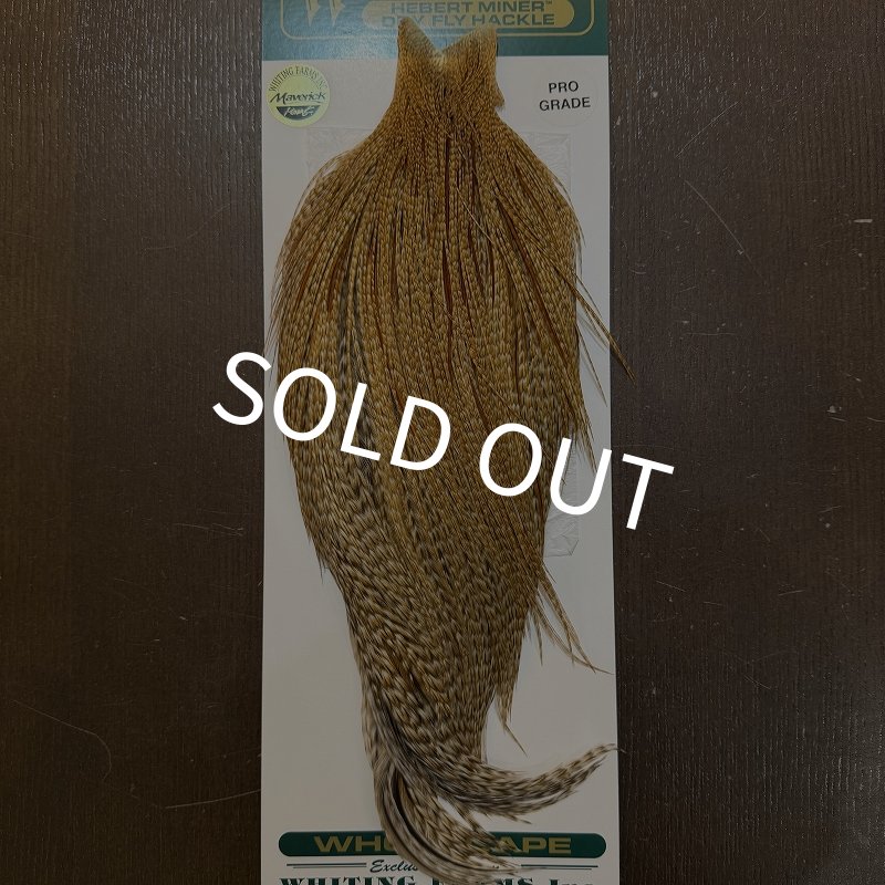 画像1: 【WHITING】Hebert ROOSTER CAPE Pro Grade - BARRED Medium Ginger No.1 (1)