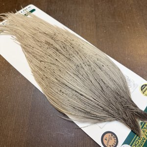 画像4: 【WHITING】Hebert ROOSTER CAPE Bronze Grade - LIGHT GREY DUN No.1