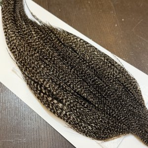 画像4: 【WHITING】Hebert ROOSTER CAPE Bronze Grade - Grizzly No.2