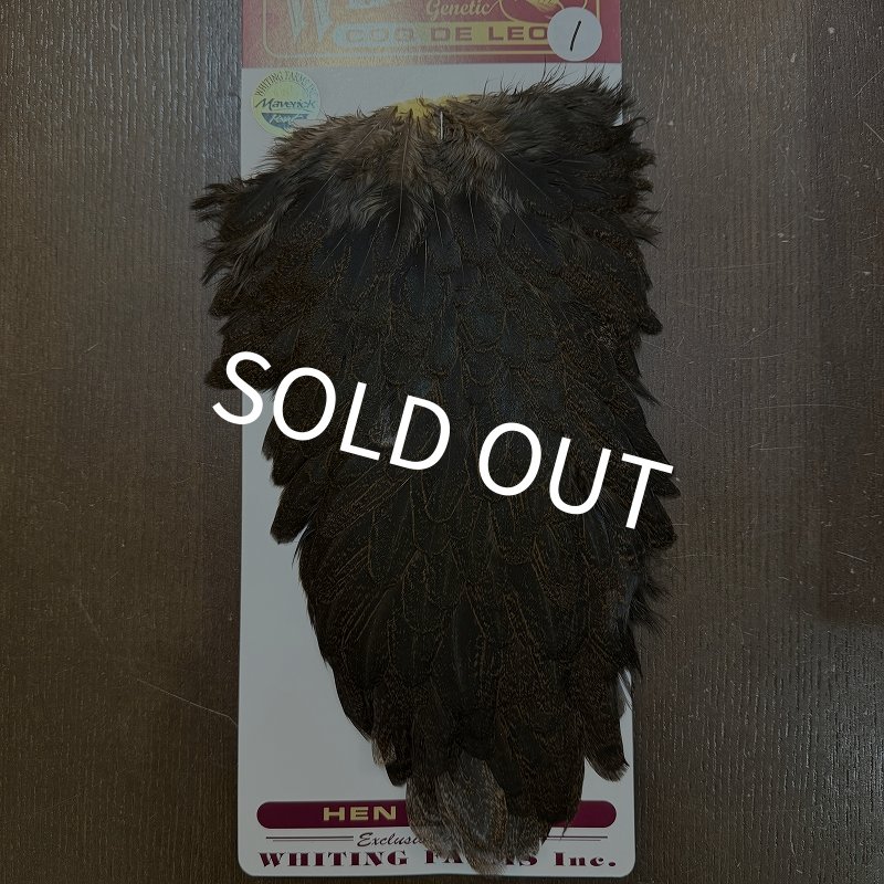 画像1: 【WHITING】Coq de Leon Hen Saddle - UNIQUE VARIANT (1)