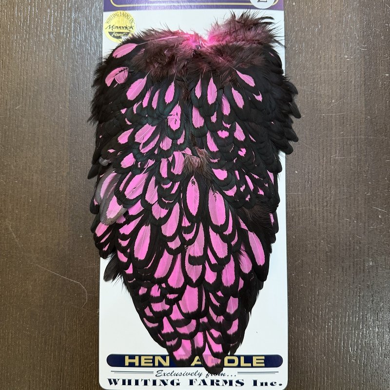 画像2: 【WHITING】American Hen Saddle BLW/PINK (2)