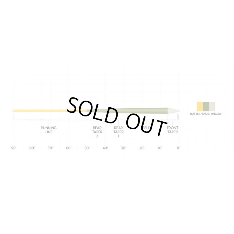 画像2: 【SA】アンプリチュードスムーズ トラウトGP (2)