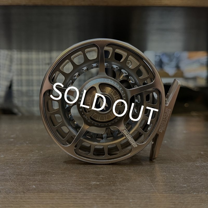 画像2: 【SAGE】SPECTRUM LT #4/5 - MOREL(SALE) (2)