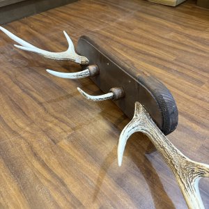 画像2: SUGISAKA  鹿角 ハンガー