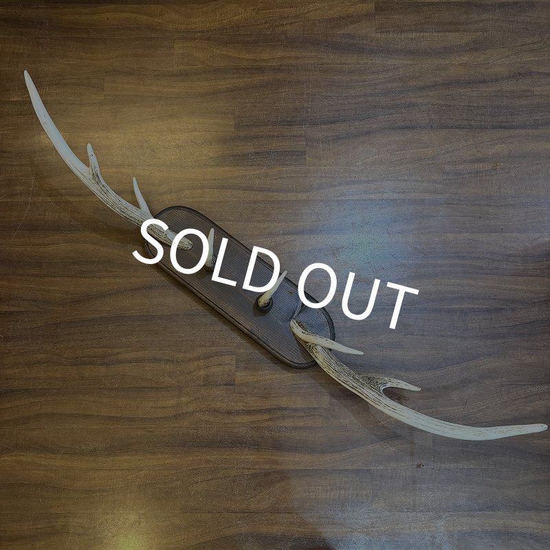 画像1: SUGISAKA  鹿角 ハンガー (1)