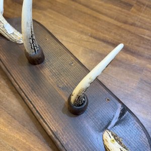 画像3: SUGISAKA  鹿角 ハンガー