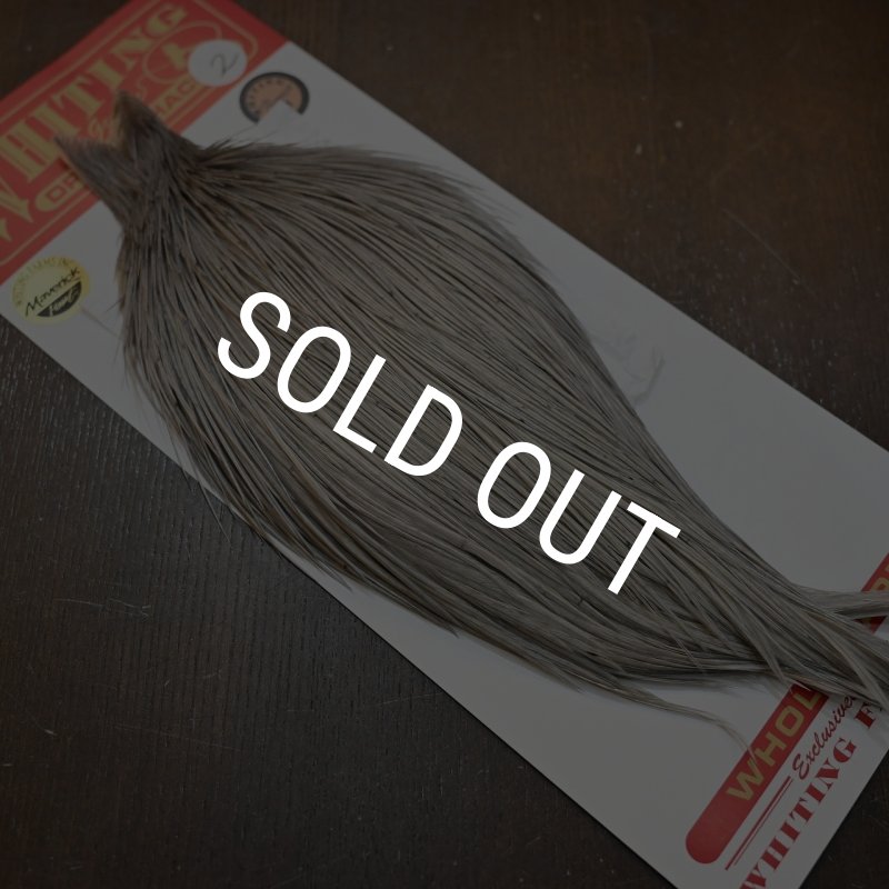 画像2: 【Whiting】ROOSTER CAPE BRONZE Grade - Medium Dun No.2 (2)