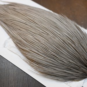 画像5: 【Whiting】ROOSTER CAPE BRONZE Grade - Medium Dun No.2