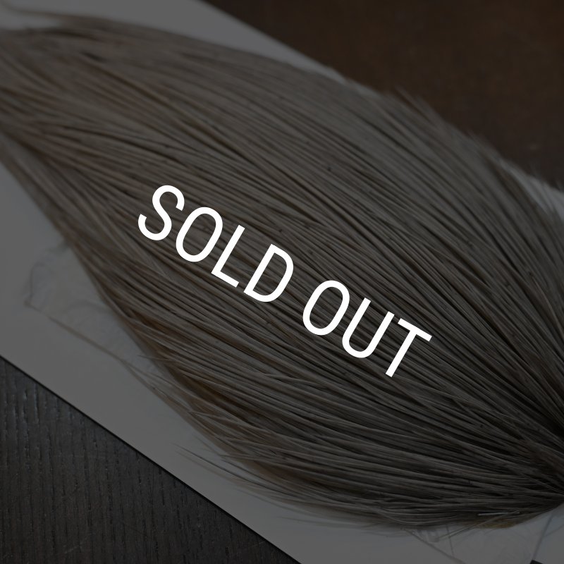 画像5: 【Whiting】ROOSTER CAPE BRONZE Grade - Medium Dun No.2 (5)