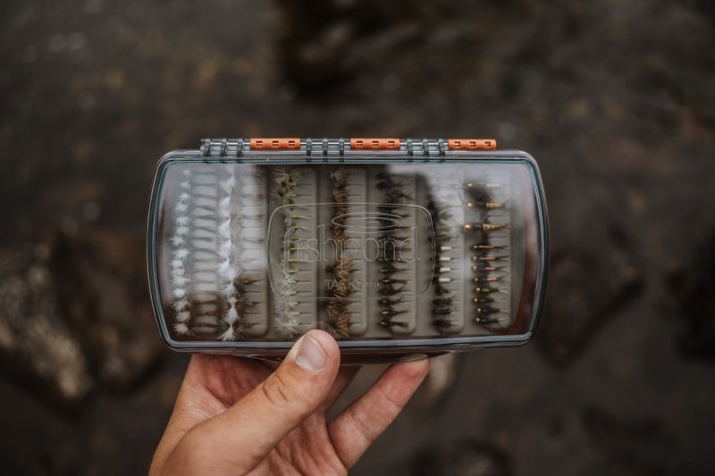 画像2: 【Fishpond】Tacky Pescador Fly Box - Medium - Clear (2)