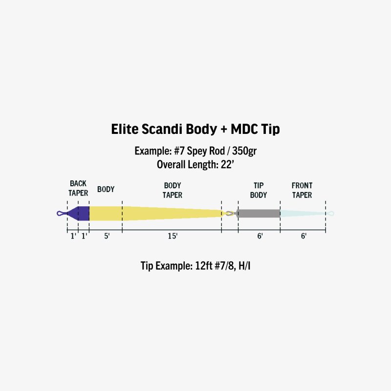 画像3: RIO - Elite Scandi MDC-Kit Short (3)