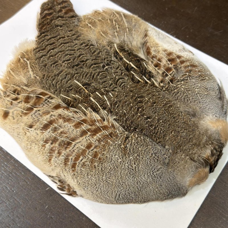 画像3: ハンガリアンパートリッジ コンプリート(1) (3)