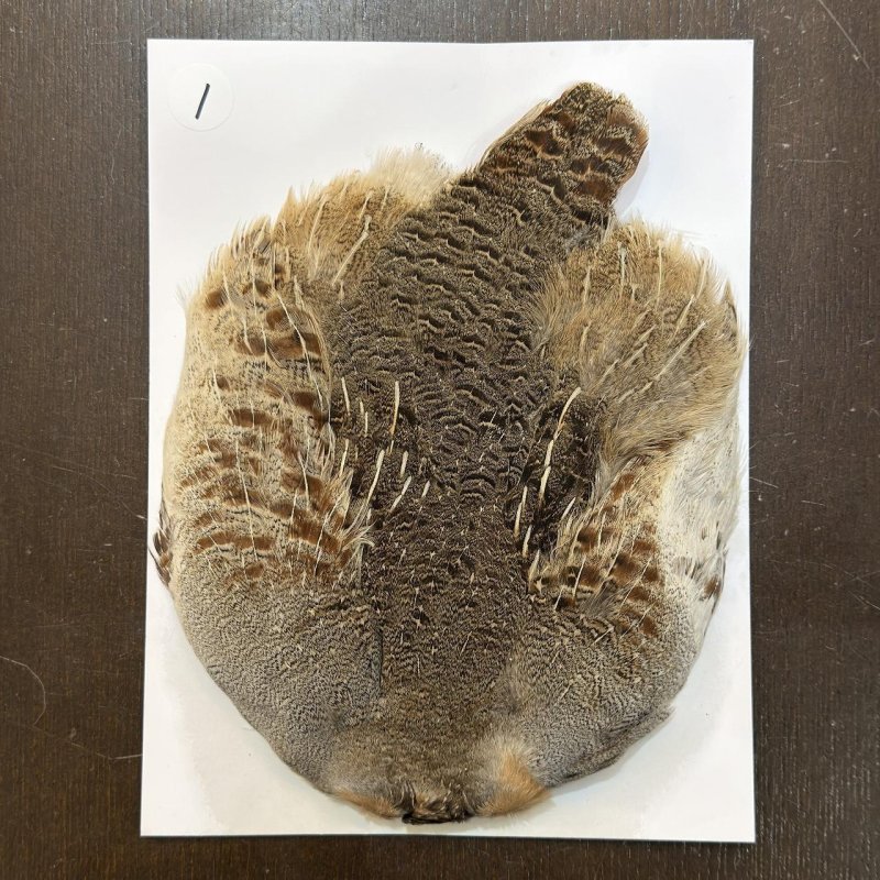 画像1: ハンガリアンパートリッジ コンプリート(1) (1)