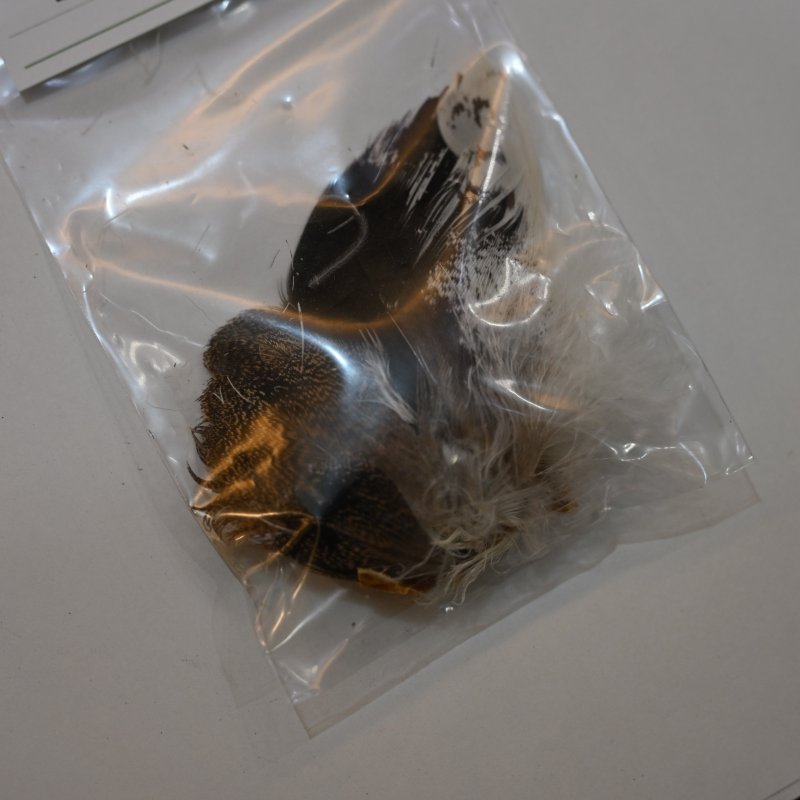 画像2: 【CANAL】Kori Bustard body patch (2)