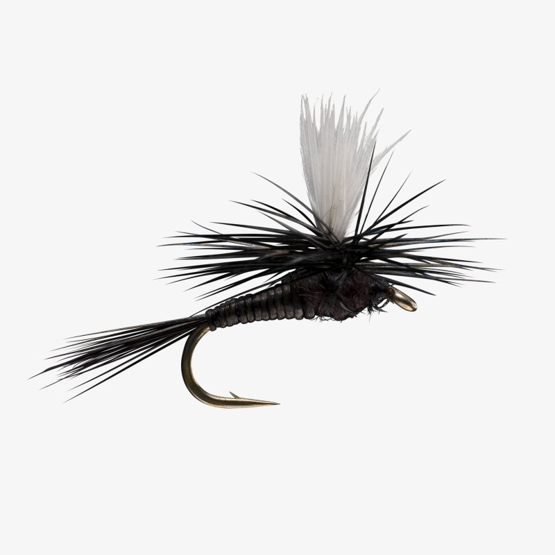 画像2: 【RIO】Quill body parachute (2)