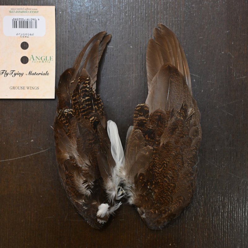 画像1: ANGLE GROUSE QUILL (1)