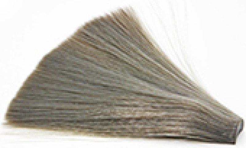 MINNOW GRAY