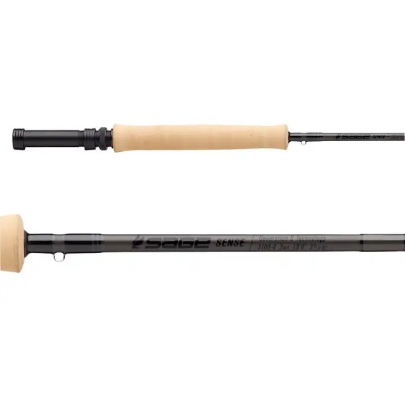 画像2: SAGE SENCE 4100-4(SALE) (2)