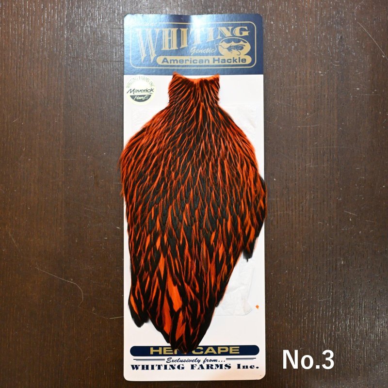 画像3: Whiting American Hen Cape BLW/ORANGE (3)