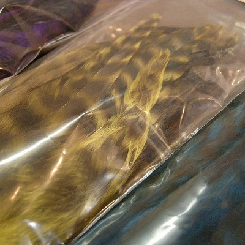 画像1: 【ANGLE】 BARRED SCHLAPPEN