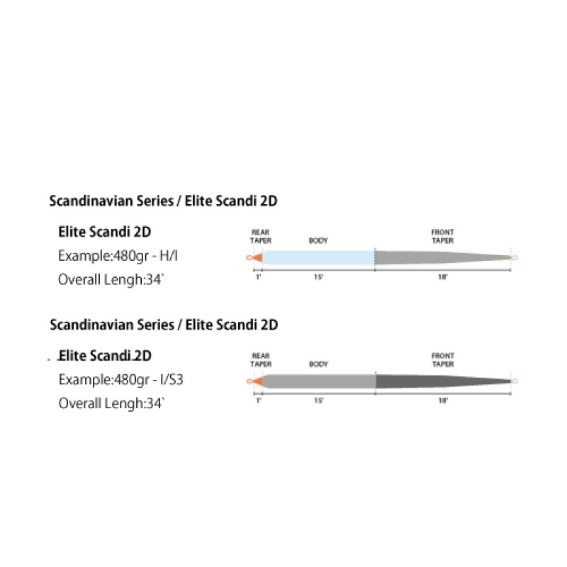 画像4: RIO ELITE SCANDI 2D (4)