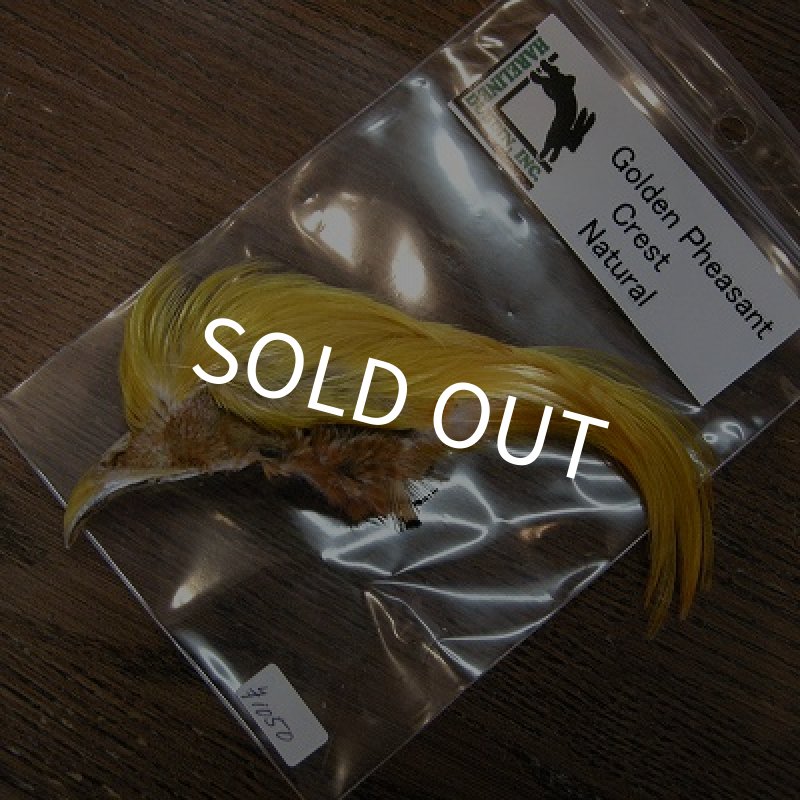 画像1: 【HARLINE】Golden Pheasant Crest  (1)