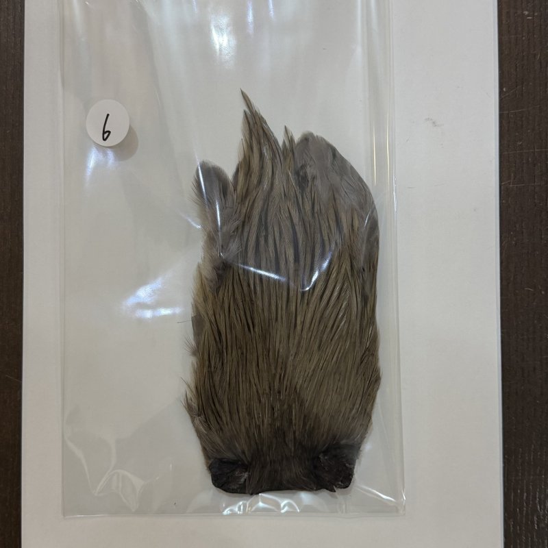 画像6: 【ANGLE】インドコックハックルケープ(ブルーダン) (6)