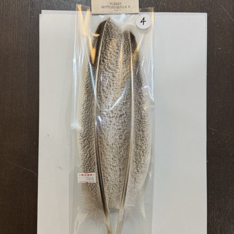 画像15: 【ANGLE】モトルド ターキークイル Bグレード (15)