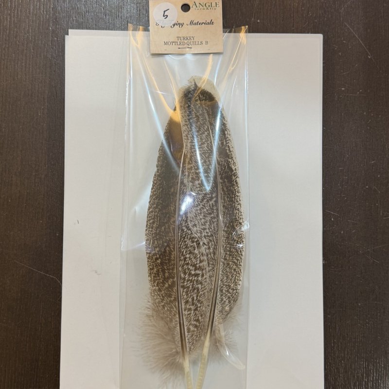 画像14: 【ANGLE】モトルド ターキークイル Bグレード (14)