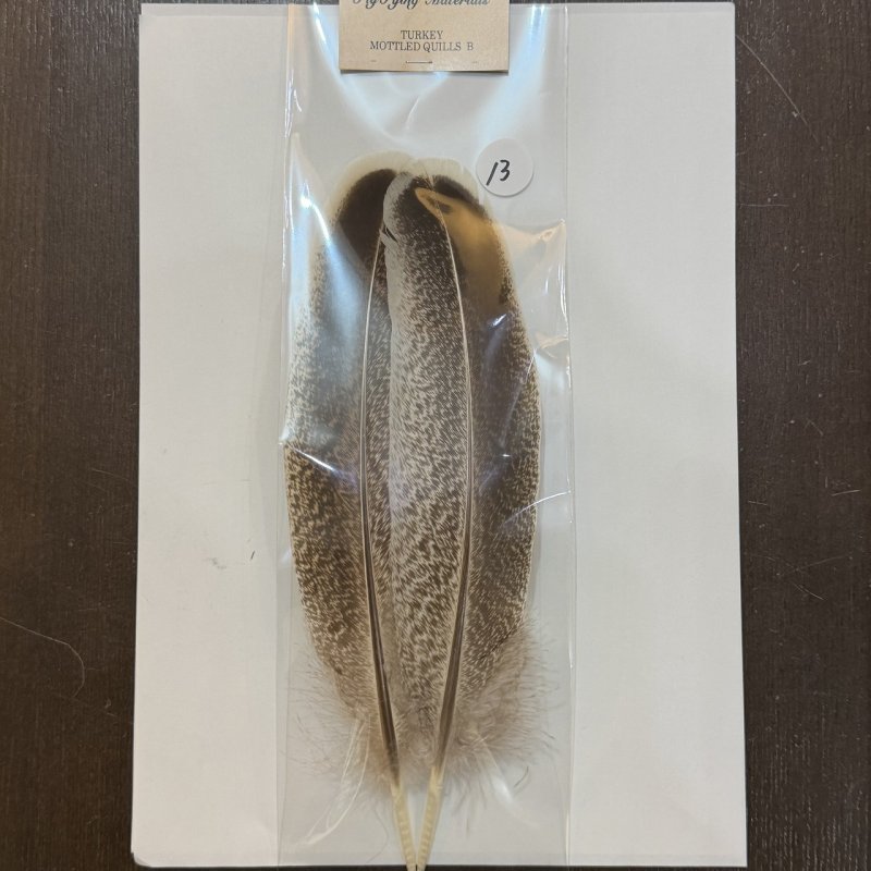 画像6: 【ANGLE】モトルド ターキークイル Bグレード (6)