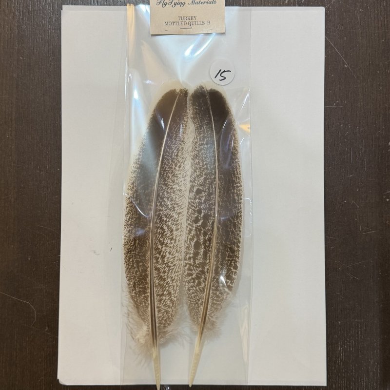 画像4: 【ANGLE】モトルド ターキークイル Bグレード (4)