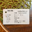 画像5: 【FISH-OWL】カーブ ラバーネット C300 内径 30cm No.1609 (5)