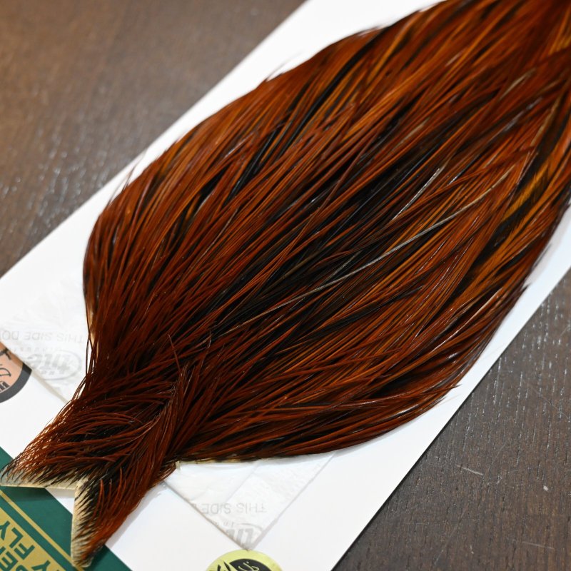 画像3: Whiting Hebert ROOSTER CAPE Bronze grade - Furnace No.1 (3)