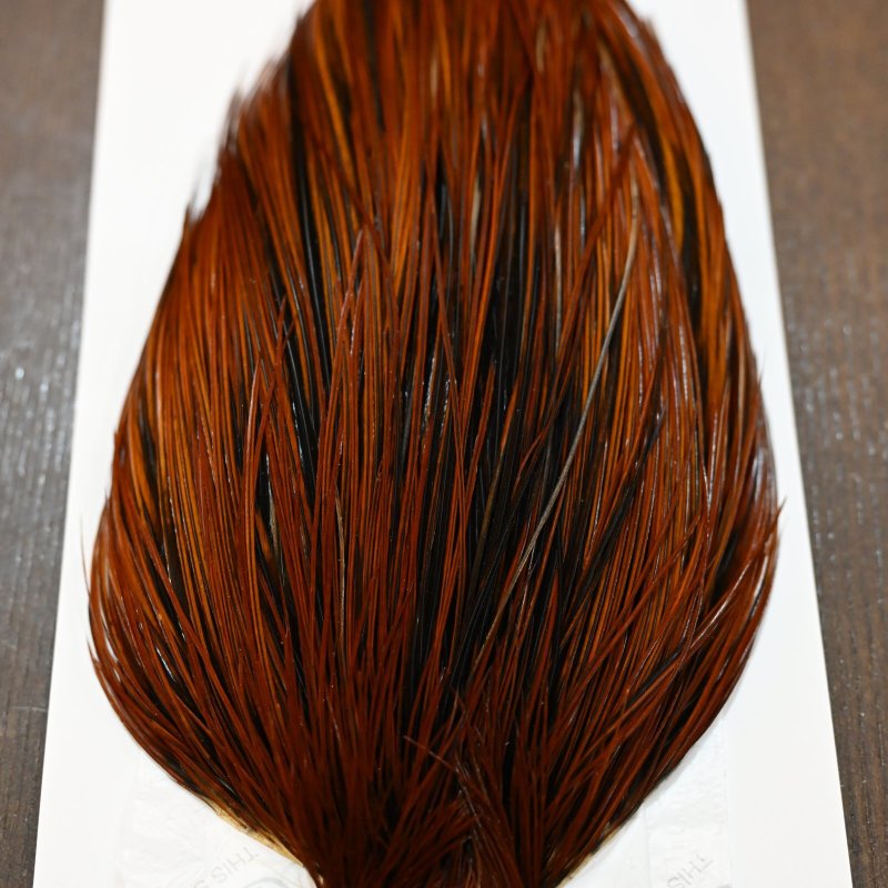 画像5: Whiting Hebert ROOSTER CAPE Bronze grade - Furnace No.1 (5)