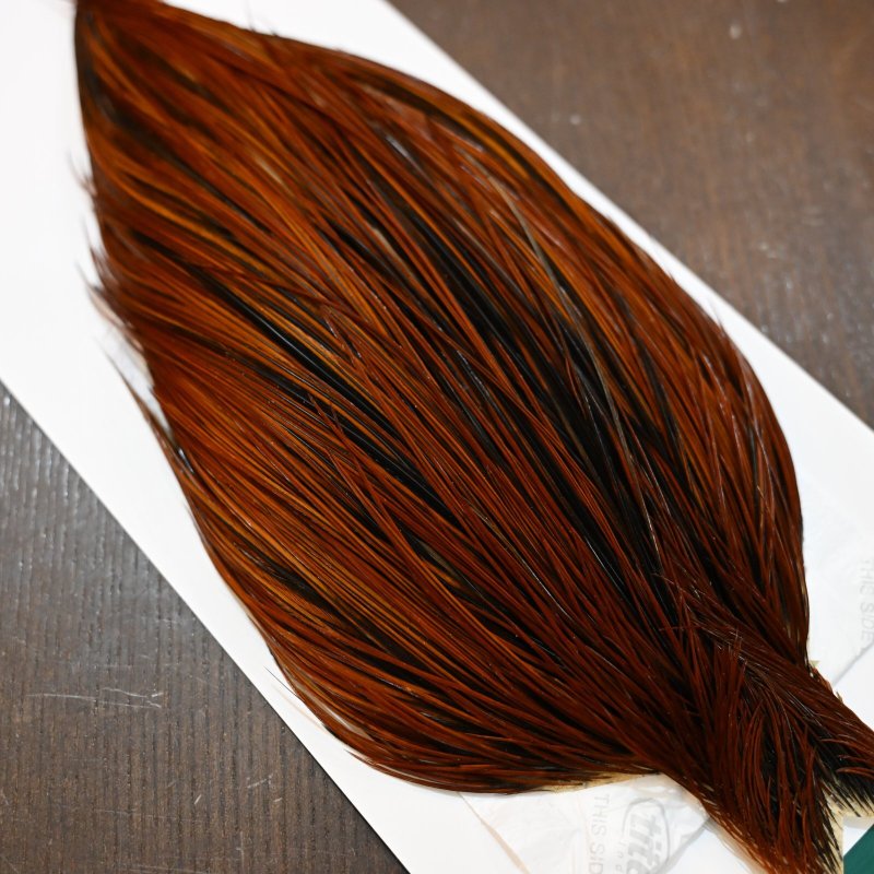 画像7: Whiting Hebert ROOSTER CAPE Bronze grade - Furnace No.1 (7)