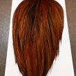 画像4: Whiting Hebert ROOSTER CAPE Bronze grade - Furnace No.1 (4)