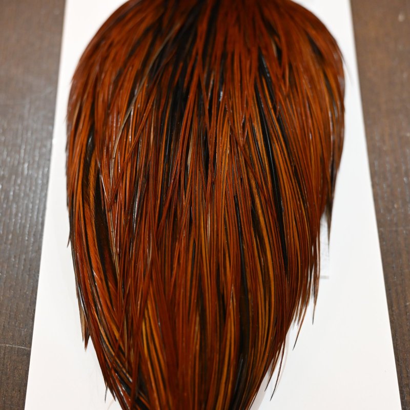 画像4: Whiting Hebert ROOSTER CAPE Bronze grade - Furnace No.1 (4)