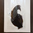 画像3: 【ANGLE】インドコックハックルケープ ブラウン (3)