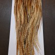 画像2: 【WHITING】Hebert Pro Grade Rooster Saddle - Barred Medium Ginger #14-16 (2)