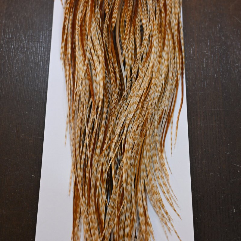 画像2: 【WHITING】Hebert Pro Grade Rooster Saddle - Barred Medium Ginger #14-16 (2)