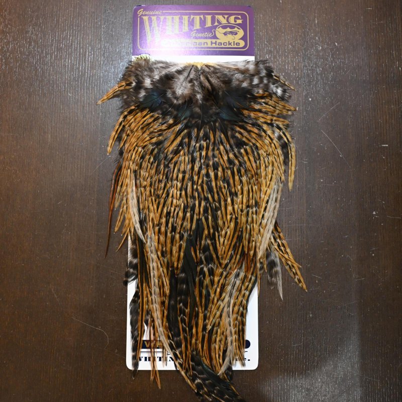 画像1: WHITING AMERICAN SADDLE - CREE (1)
