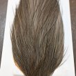 画像4: 【WHITING】Hebert ROOSTER CAPE PRO Grade - Medium Grey dun (4)